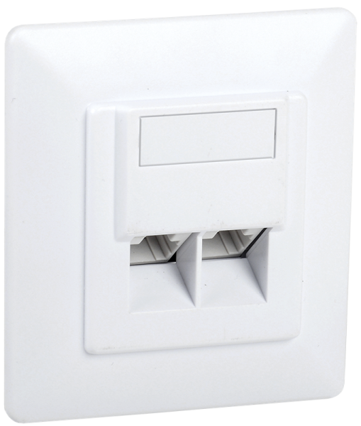 Розетка информац. для внутр. монтажа RJ45 2 порта IDC Dual | CS2-1C5EU-21 | ITK