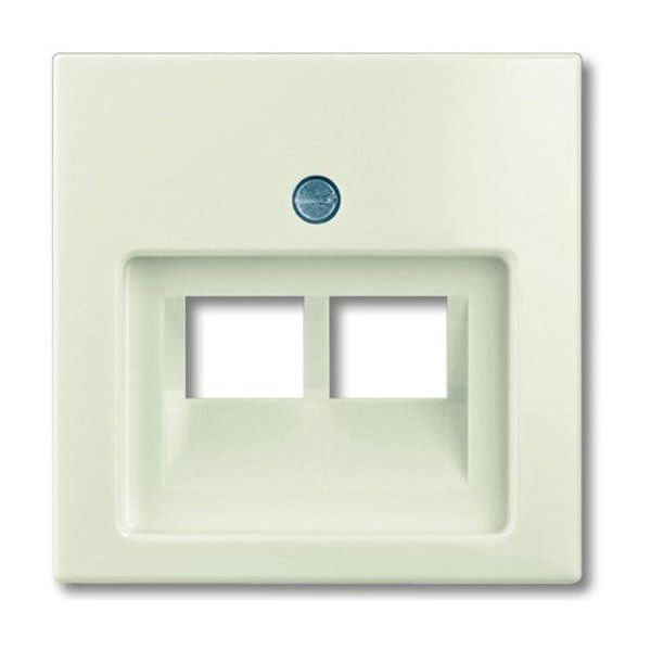 ABB Basic 55 Сл. кость Накладка 2-ой ТЛФ/комп розетки наклонной | 1753-0-0097  | 2CKA001753A0097 | ABB — фото