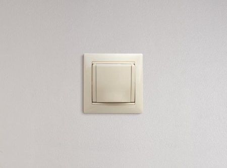 Valena Сл. кость Розетка 1-ая с/з с крышкой защ. шторки IP21 | 774322 | Legrand — фото