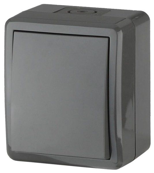 Выключатель IP54, 10АХ-250В, 11-1401-03, ОУ, Эксперт, Серый |Б0020670 | ЭРА — фото